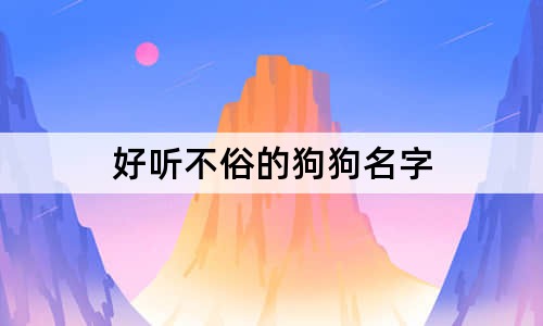 好听不俗的狗狗名字 100个冷门且好听的宠物名