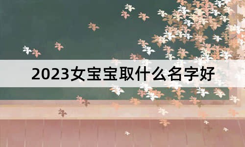 2023女宝宝取什么名字好