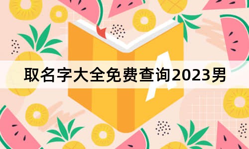 取名字大全免费查询2023男孩子