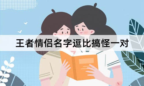 王者情侣名字逗比搞怪一对