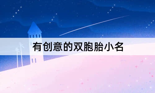 有创意的双胞胎小名