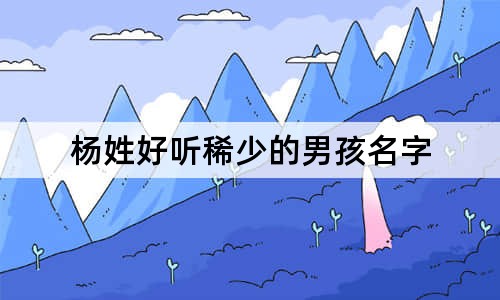 杨姓好听稀少的男孩名字