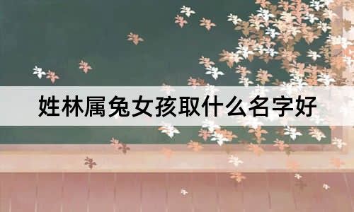 姓林属兔女孩取什么名字好