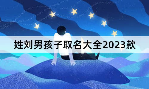 姓刘男孩子取名大全2023款