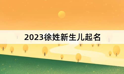 2023徐姓新生儿起名