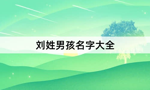 刘姓男孩名字大全