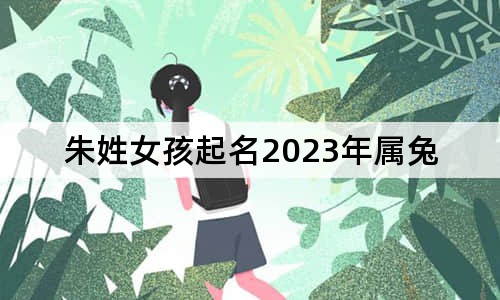 朱姓女孩起名2023年属兔