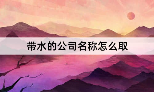 带水的公司名称怎么取