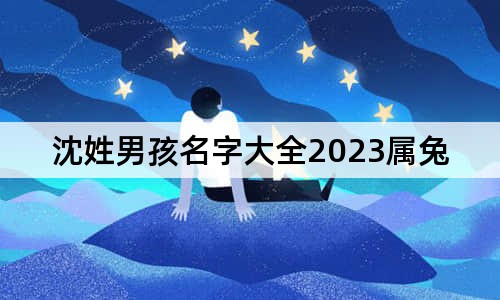 沈姓男孩名字大全2023属兔