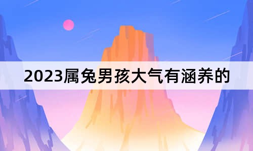 2023属兔男孩大气有涵养的名字