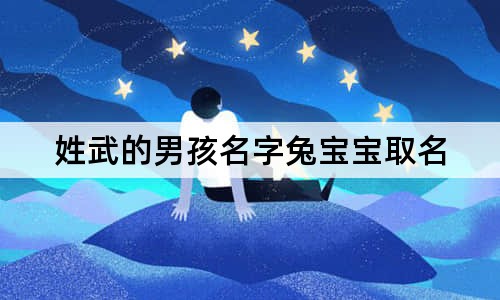 姓武的男孩名字兔宝宝取名