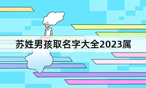 苏姓男孩取名字大全2023属兔