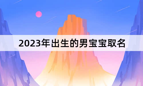 2023年出生的男宝宝取名