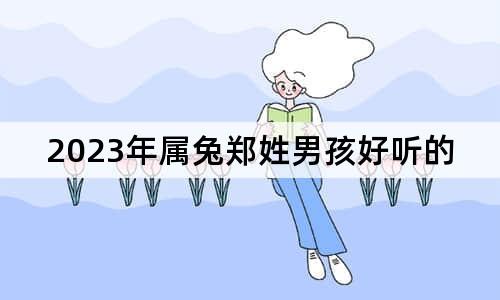 2023年属兔郑姓男孩好听的名字