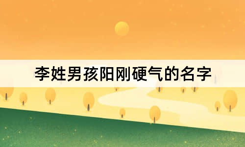 李姓男孩阳刚硬气的名字