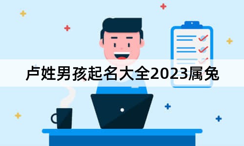 卢姓男孩起名大全2023属兔