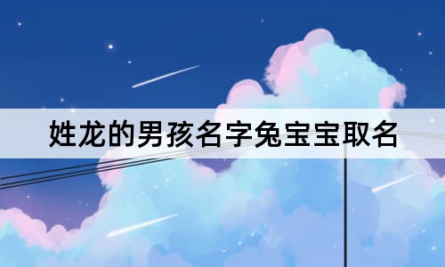 姓龙的男孩名字兔宝宝取名