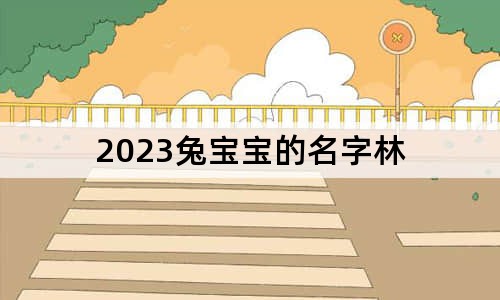 2023兔宝宝的名字林