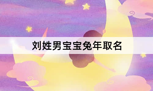 刘姓男宝宝兔年取名