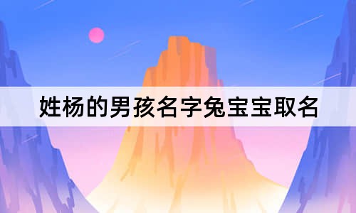 姓杨的男孩名字兔宝宝取名