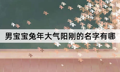 男宝宝兔年大气阳刚的名字有哪些