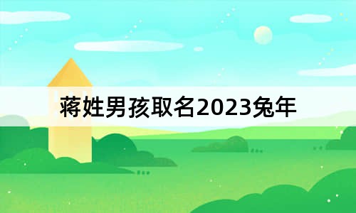 蒋姓男孩取名2023兔年