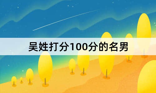 吴姓打分100分的名男