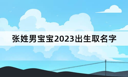 张姓男宝宝2023出生取名字怎么取