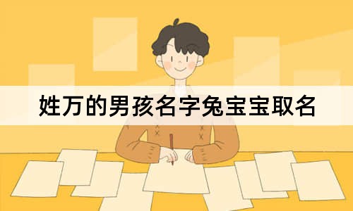 姓万的男孩名字兔宝宝取名