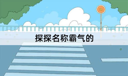 探探名称霸气的