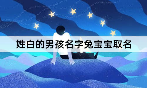 姓白的男孩名字兔宝宝取名