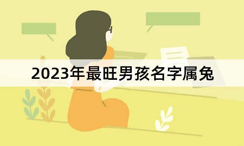 2023年最旺男孩名字属兔