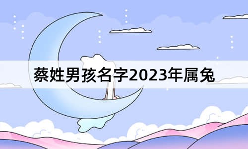 蔡姓男孩名字2023年属兔