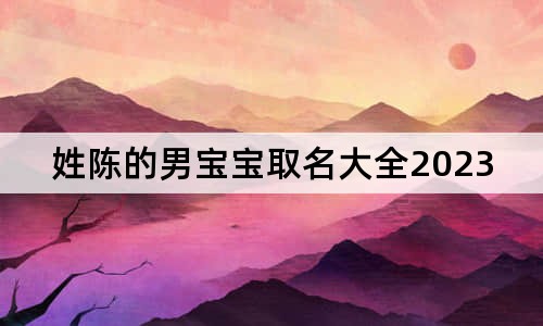 姓陈的男宝宝取名大全2023