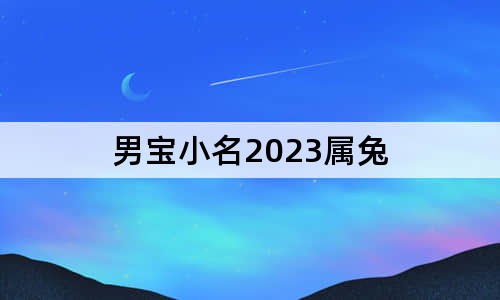 男宝小名2023属兔