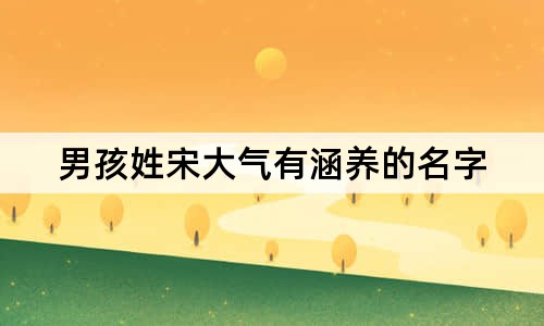 男孩姓宋大气有涵养的名字